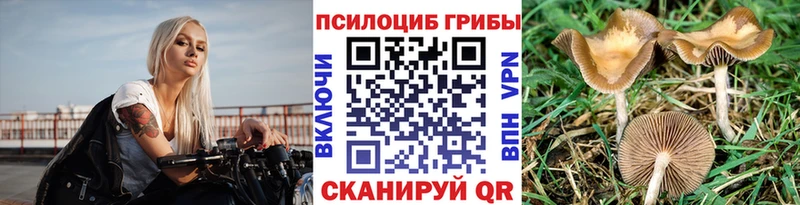 Псилоцибиновые грибы мухоморы  цены наркотик  kraken зеркало  Краснозаводск 